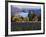 Celilo Vineyard, Columbia River Gorge, Washington, USA-Janis Miglavs-Framed Photographic Print