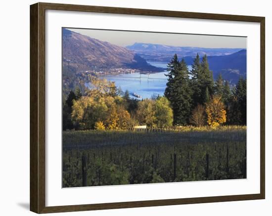 Celilo Vineyard, Columbia River Gorge, Washington, USA-Janis Miglavs-Framed Photographic Print