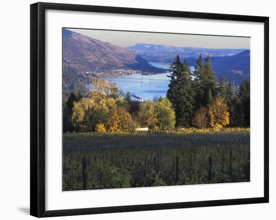 Celilo Vineyard, Columbia River Gorge, Washington, USA-Janis Miglavs-Framed Photographic Print