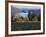 Celilo Vineyard, Columbia River Gorge, Washington, USA-Janis Miglavs-Framed Photographic Print