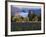 Celilo Vineyard, Columbia River Gorge, Washington, USA-Janis Miglavs-Framed Photographic Print