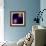 Cell Division-Dr. Paul Andrews-Framed Premium Photographic Print displayed on a wall