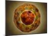 Cell Nucleus with Chromosome-null-Mounted Art Print