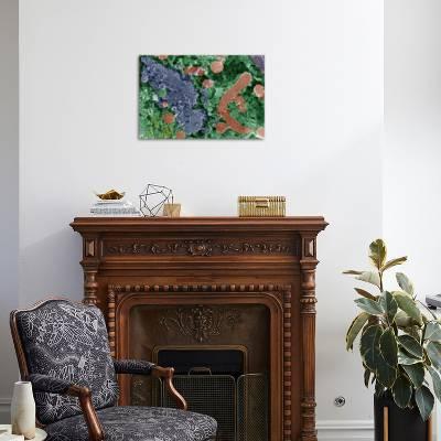 Cell Organelles Sem Photographic Print By Dr David Furness Art Com