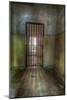 Cell with Metal Door-Nathan Wright-Mounted Photographic Print