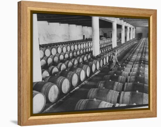 Cellar of Maturing Wines as Wine Maker Tests with Pipette-Carlo Bavagnoli-Framed Premier Image Canvas