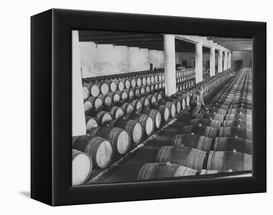 Cellar of Maturing Wines as Wine Maker Tests with Pipette-Carlo Bavagnoli-Framed Premier Image Canvas