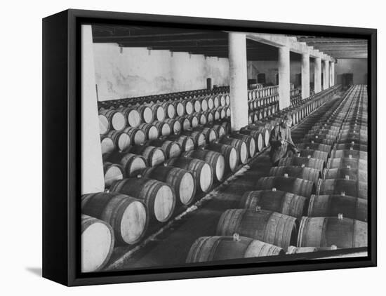 Cellar of Maturing Wines as Wine Maker Tests with Pipette-Carlo Bavagnoli-Framed Premier Image Canvas