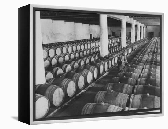 Cellar of Maturing Wines as Wine Maker Tests with Pipette-Carlo Bavagnoli-Framed Premier Image Canvas