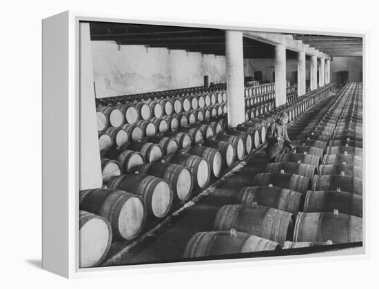 Cellar of Maturing Wines as Wine Maker Tests with Pipette-Carlo Bavagnoli-Framed Premier Image Canvas