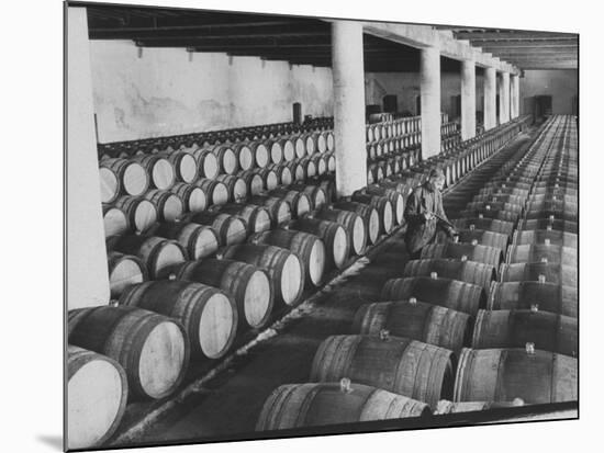 Cellar of Maturing Wines as Wine Maker Tests with Pipette-Carlo Bavagnoli-Mounted Premium Photographic Print