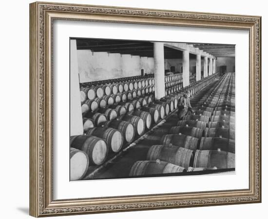 Cellar of Maturing Wines as Wine Maker Tests with Pipette-Carlo Bavagnoli-Framed Photographic Print