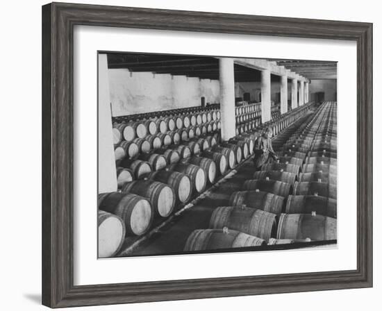 Cellar of Maturing Wines as Wine Maker Tests with Pipette-Carlo Bavagnoli-Framed Photographic Print