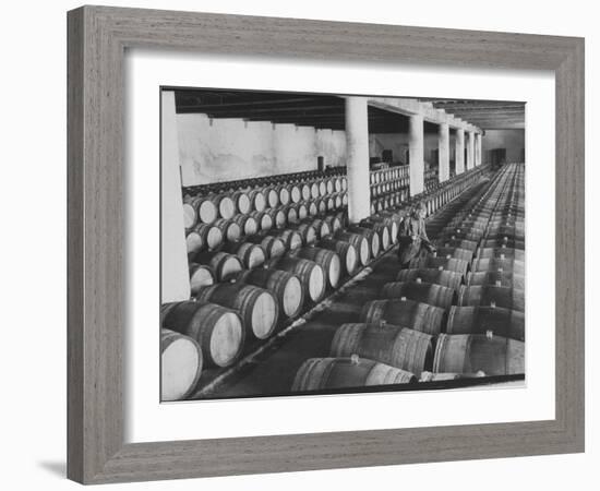 Cellar of Maturing Wines as Wine Maker Tests with Pipette-Carlo Bavagnoli-Framed Photographic Print