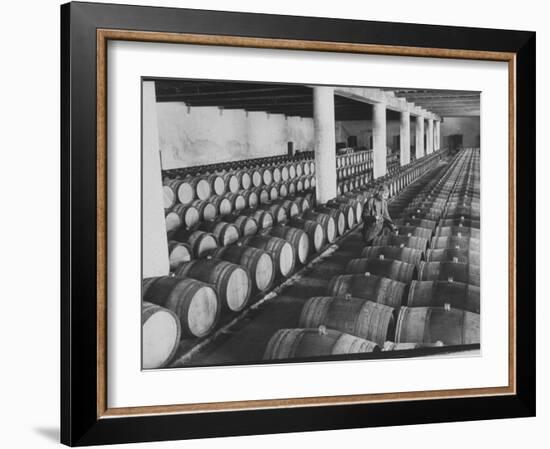 Cellar of Maturing Wines as Wine Maker Tests with Pipette-Carlo Bavagnoli-Framed Photographic Print