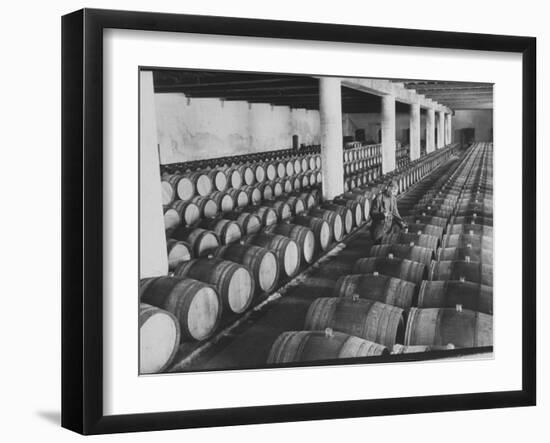 Cellar of Maturing Wines as Wine Maker Tests with Pipette-Carlo Bavagnoli-Framed Photographic Print