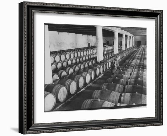 Cellar of Maturing Wines as Wine Maker Tests with Pipette-Carlo Bavagnoli-Framed Photographic Print