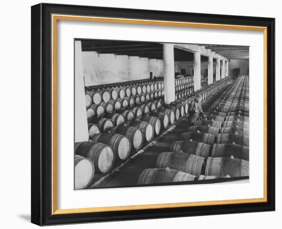 Cellar of Maturing Wines as Wine Maker Tests with Pipette-Carlo Bavagnoli-Framed Photographic Print