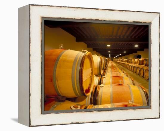 Cellars of Chateau Lynch Bages, Pauillac, Aquitaine, France-Michael Busselle-Framed Premier Image Canvas