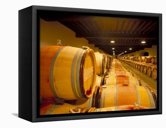 Cellars of Chateau Lynch Bages, Pauillac, Aquitaine, France-Michael Busselle-Framed Premier Image Canvas