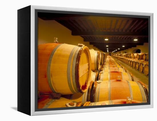 Cellars of Chateau Lynch Bages, Pauillac, Aquitaine, France-Michael Busselle-Framed Premier Image Canvas