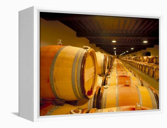 Cellars of Chateau Lynch Bages, Pauillac, Aquitaine, France-Michael Busselle-Framed Premier Image Canvas