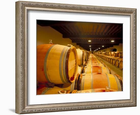 Cellars of Chateau Lynch Bages, Pauillac, Aquitaine, France-Michael Busselle-Framed Photographic Print