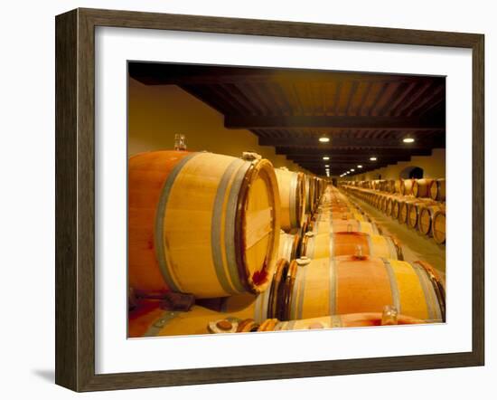 Cellars of Chateau Lynch Bages, Pauillac, Aquitaine, France-Michael Busselle-Framed Photographic Print