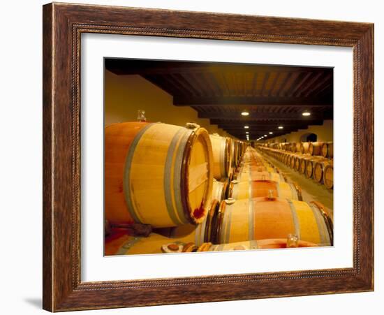 Cellars of Chateau Lynch Bages, Pauillac, Aquitaine, France-Michael Busselle-Framed Photographic Print