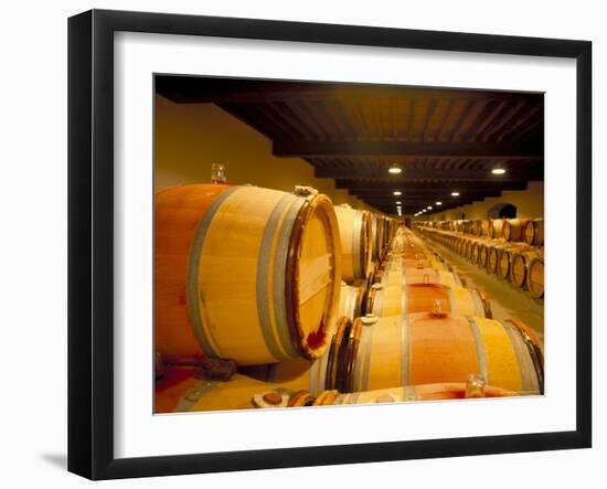 Cellars of Chateau Lynch Bages, Pauillac, Aquitaine, France-Michael Busselle-Framed Photographic Print