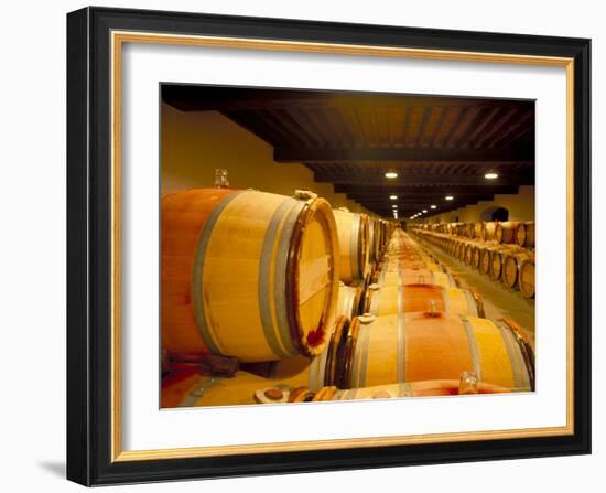 Cellars of Chateau Lynch Bages, Pauillac, Aquitaine, France-Michael Busselle-Framed Photographic Print