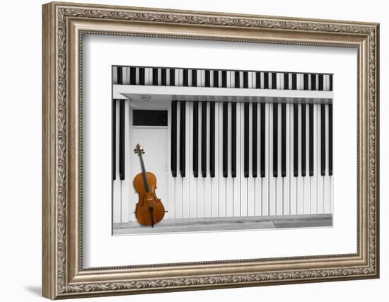 Cello at the Door-Jacqueline Hammer-Framed Photographic Print