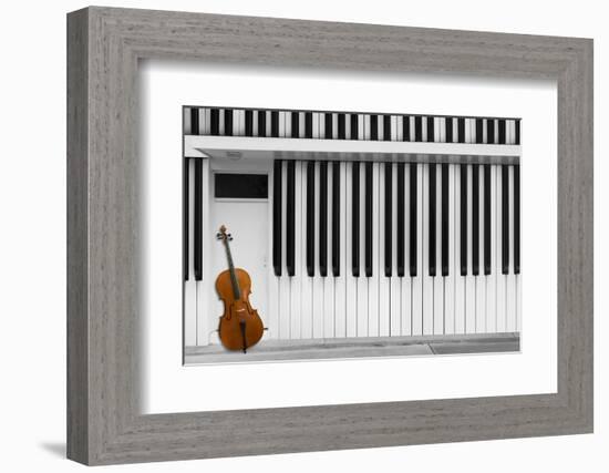 Cello at the Door-Jacqueline Hammer-Framed Photographic Print