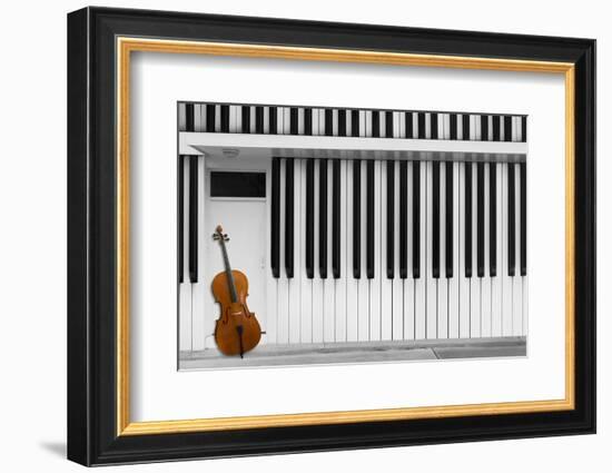 Cello at the Door-Jacqueline Hammer-Framed Photographic Print