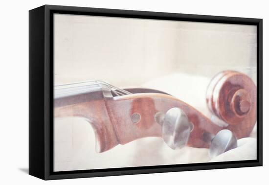 Cello Neck Close Up-Myan Soffia-Framed Premier Image Canvas