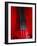 Cello Strings-Andrew Lambert-Framed Photographic Print