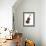 Cello-Mark Ashkenazi-Framed Giclee Print displayed on a wall