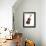 Cello-Mark Ashkenazi-Framed Giclee Print displayed on a wall