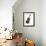 Cello-Mark Ashkenazi-Framed Giclee Print displayed on a wall