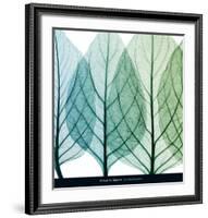 Celosia Leaves I-Steven N^ Meyers-Framed Art Print