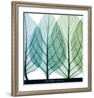 Celosia Leaves I-Steven N^ Meyers-Framed Art Print