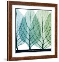 Celosia Leaves I-Steven N^ Meyers-Framed Art Print
