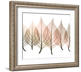Celosias-Steven N^ Meyers-Framed Art Print