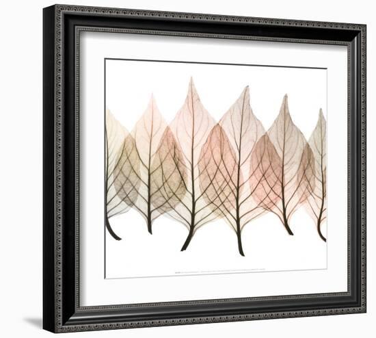 Celosias-Steven N^ Meyers-Framed Art Print