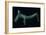 Celtic bronze dog from the British Museum's collection. Artist: Unknown-Unknown-Framed Giclee Print