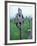 Celtic Cross Gravestone, County Clare, Ireland-Brent Bergherm-Framed Photographic Print