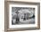 Celtic crosses, common in Ireland. County Mayo, Ireland.-Betty Sederquist-Framed Photographic Print