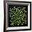 Celtic Inspiration-Herb Dickinson-Framed Photographic Print