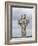 Celtic Style Cross in Graveyard, Connacht, Republic of Ireland (Eire)-Gary Cook-Framed Photographic Print