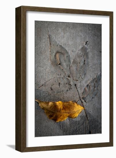 Cement Autumn 1295-Gordon Semmens-Framed Photographic Print